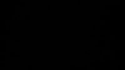 刘洋草根升官记